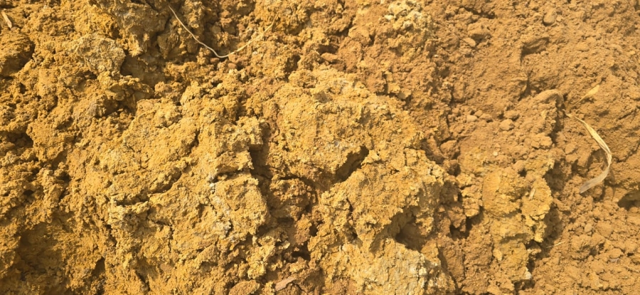 0 Bedroom Property for Sale in Hoopstad Rural Free State